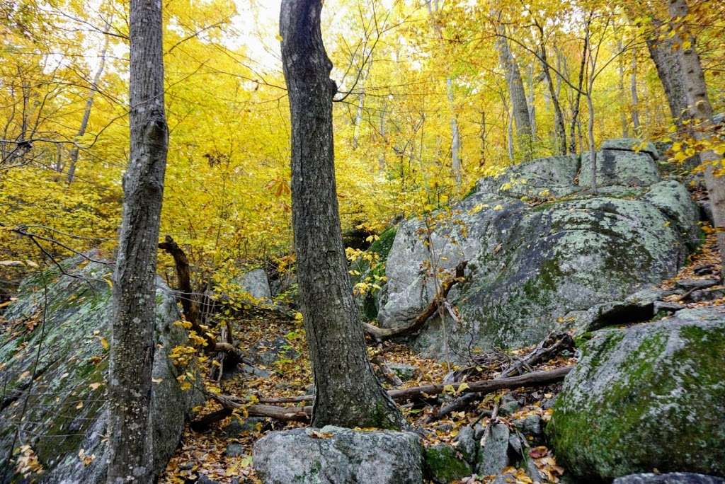 Lower Old Rag Parking Lot & Fee Station | 2577 Nethers Rd, Etlan, VA 22719, USA