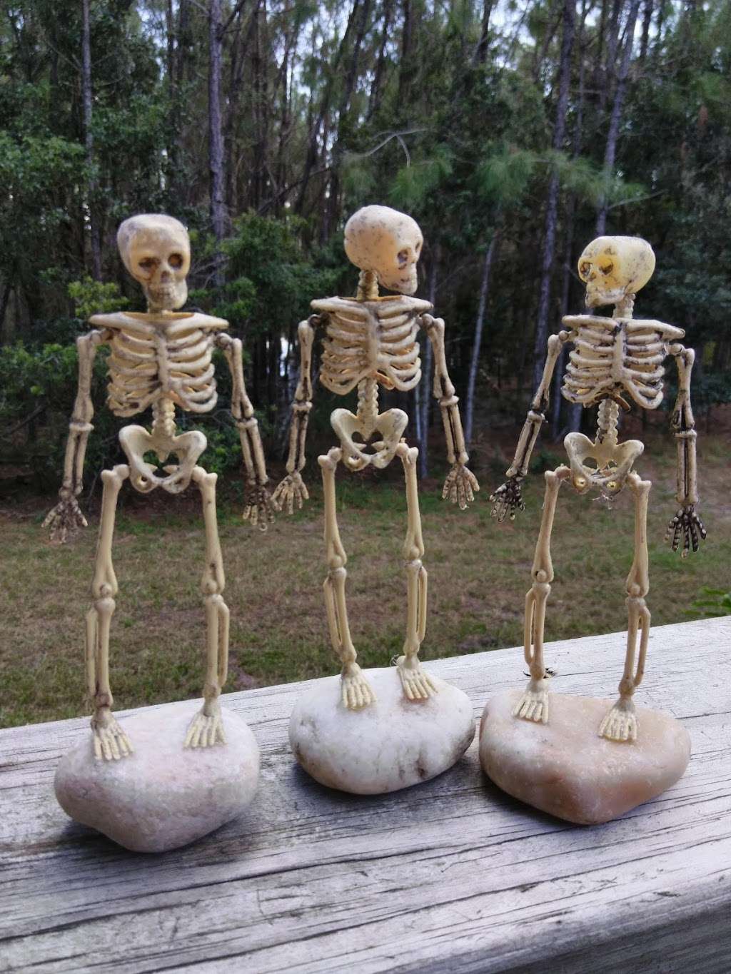 SILKFLOWERGALLERY.COM | 499 Enterprise Osteen Rd, Osteen, FL 32764, USA | Phone: (407) 474-0416