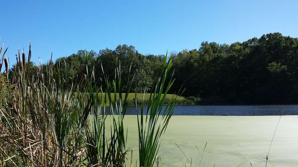 Little Hortons Pond | Fredon Township, NJ 07860, USA