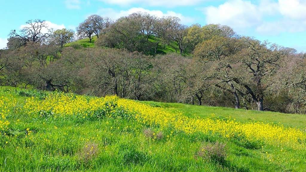 Hidden Lakes Park | Morello Ave & Chilpancingo Pkwy, Martinez, CA 94553, USA | Phone: (925) 372-3500