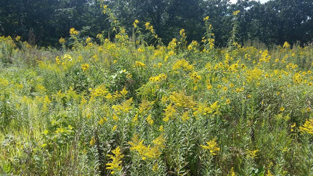 Grey Cloud Dunes SNA | 113th St S, Cottage Grove, MN 55016, USA | Phone: (651) 259-5800