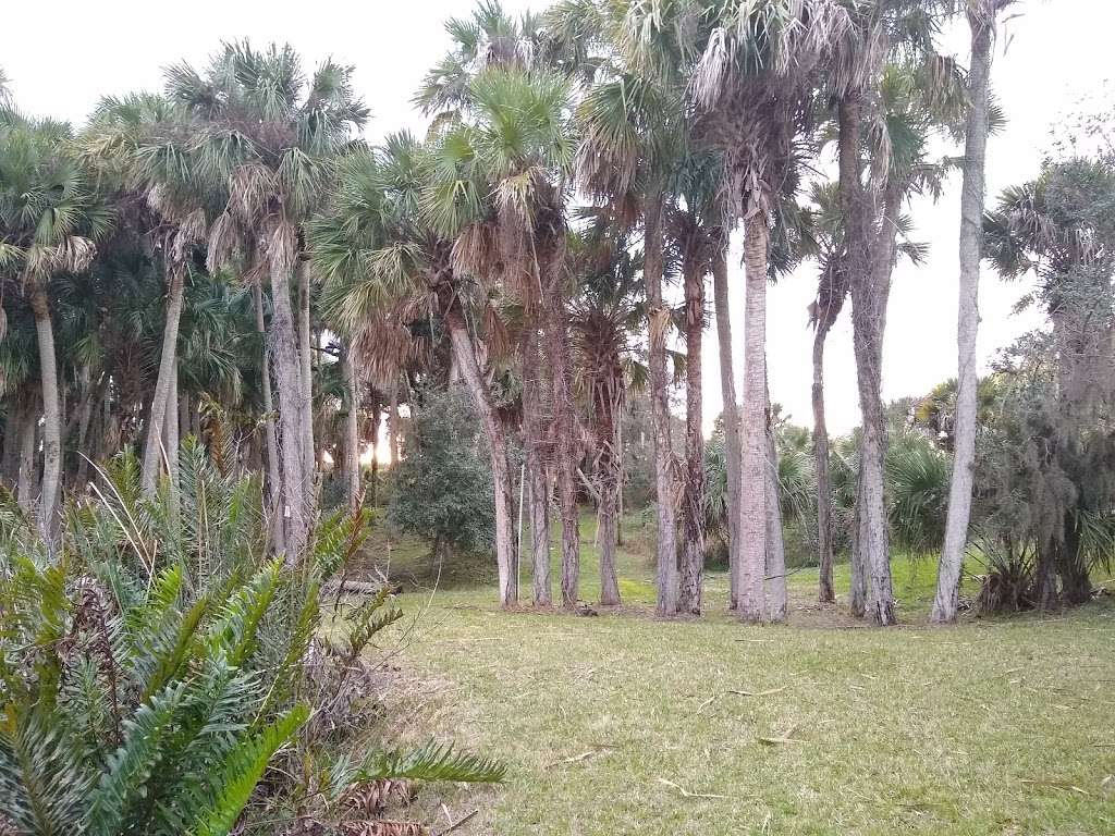 Allapattah Flats Campsite | Unnamed Road, Indiantown, FL 34956, USA