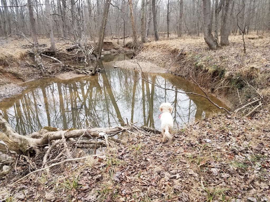 Watts Branch Park | Potomac, MD 20854