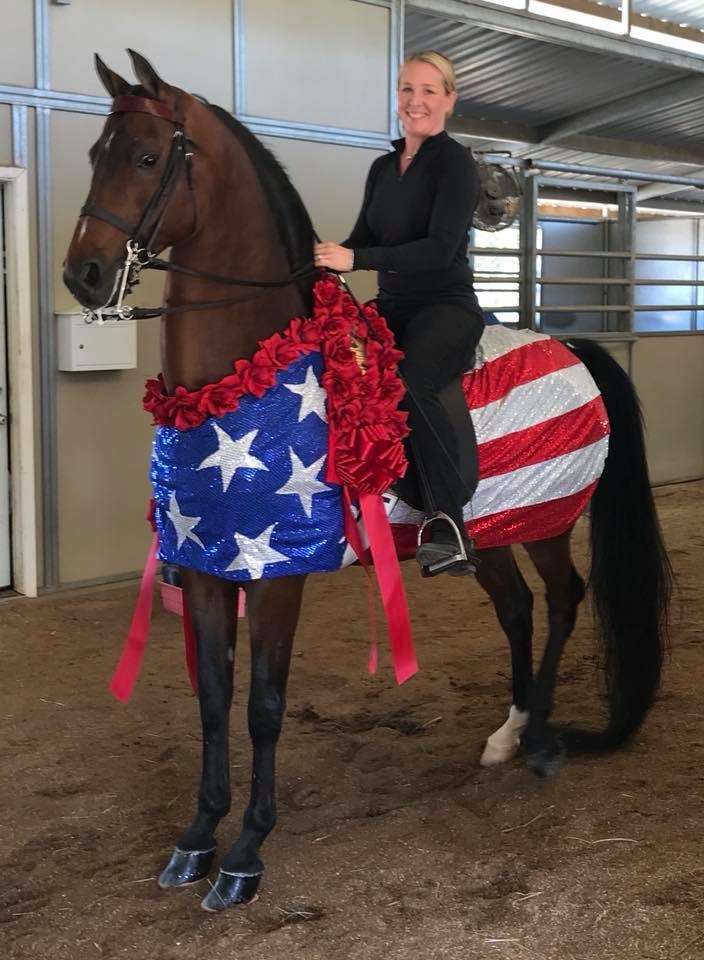 Rancho Del Mar Riding Academy | Deer Springs Equestrian, 2333 N Twin Oaks Valley Rd, San Marcos, CA 92069, USA | Phone: (760) 715-5426