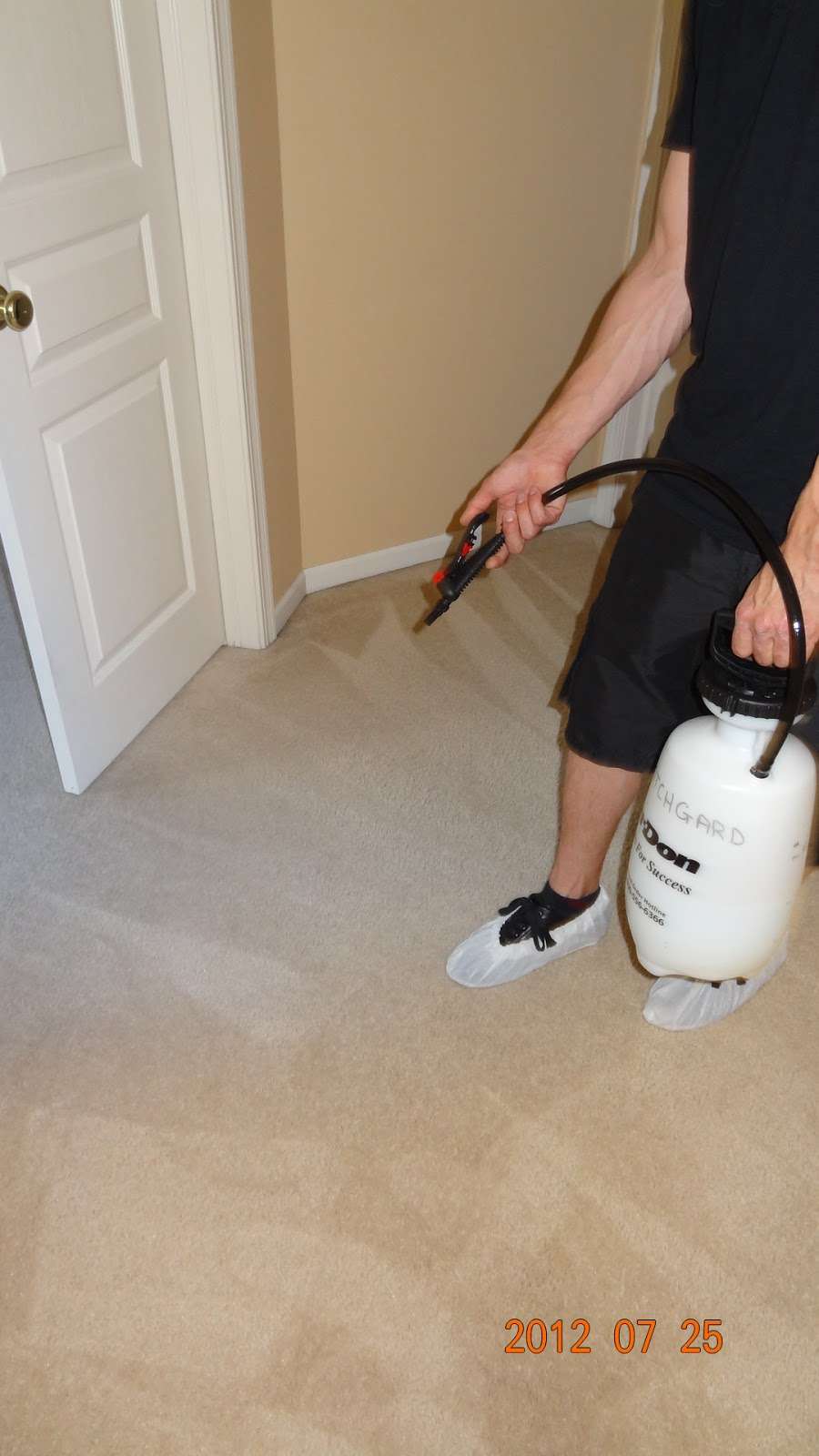 EcoClean Carpet Cleaning | 424 Fort Hill Dr #113, Naperville, IL 60540 | Phone: (630) 945-4181