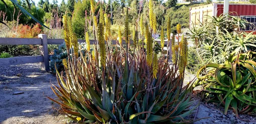 Rice Canyon Demonstration Garden | N Rancho Del Rey Pkwy, Chula Vista, CA 91910, USA