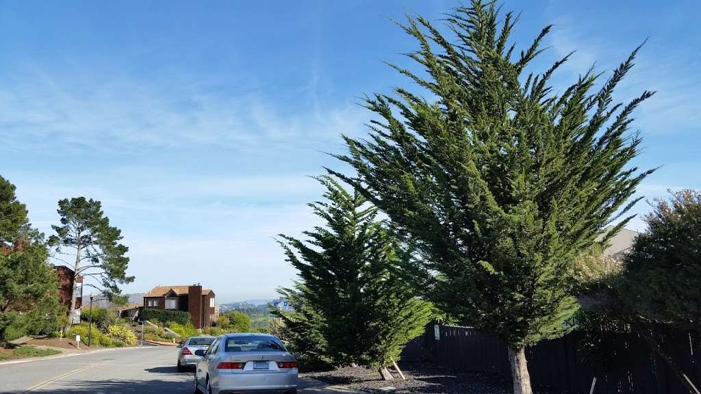 Petre T Gueorguiev Electric | 487 Sherwood Dr # 206, Sausalito, CA 94965, USA | Phone: (415) 331-2237