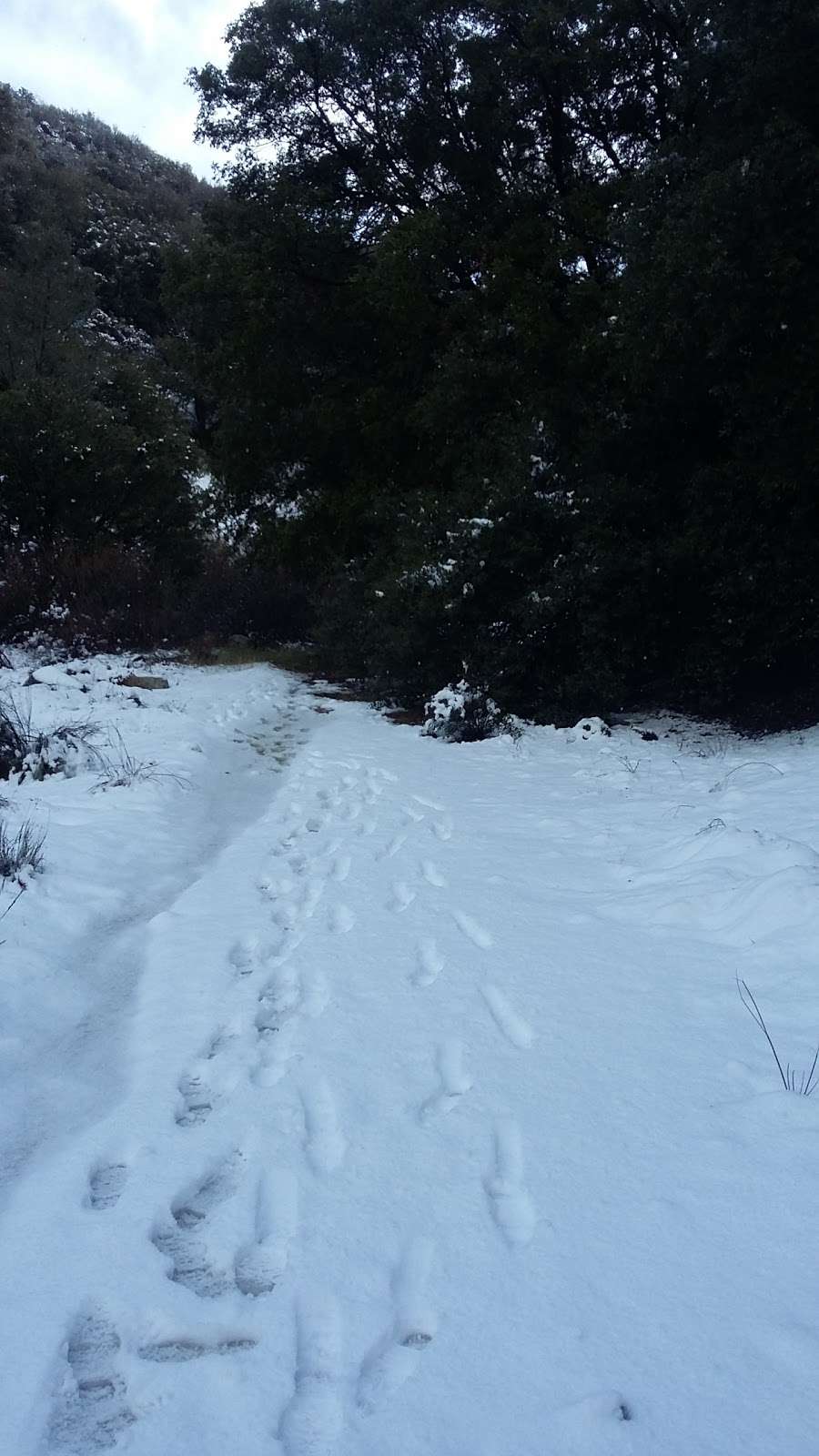 Lower Shake Trailhead | Lake Hughes, CA 93532, USA