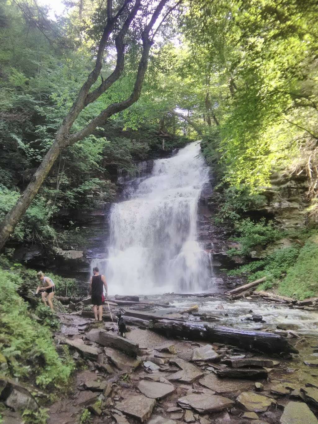 Adams Falls at Ricketts Glen | 288 PA-118, Benton, PA 17814, USA