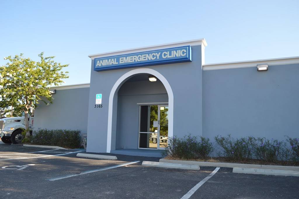 St. Petersburg Animal Hospital and Urgent Care | 3165 22nd Ave N, St. Petersburg, FL 33713, USA | Phone: (727) 323-1311