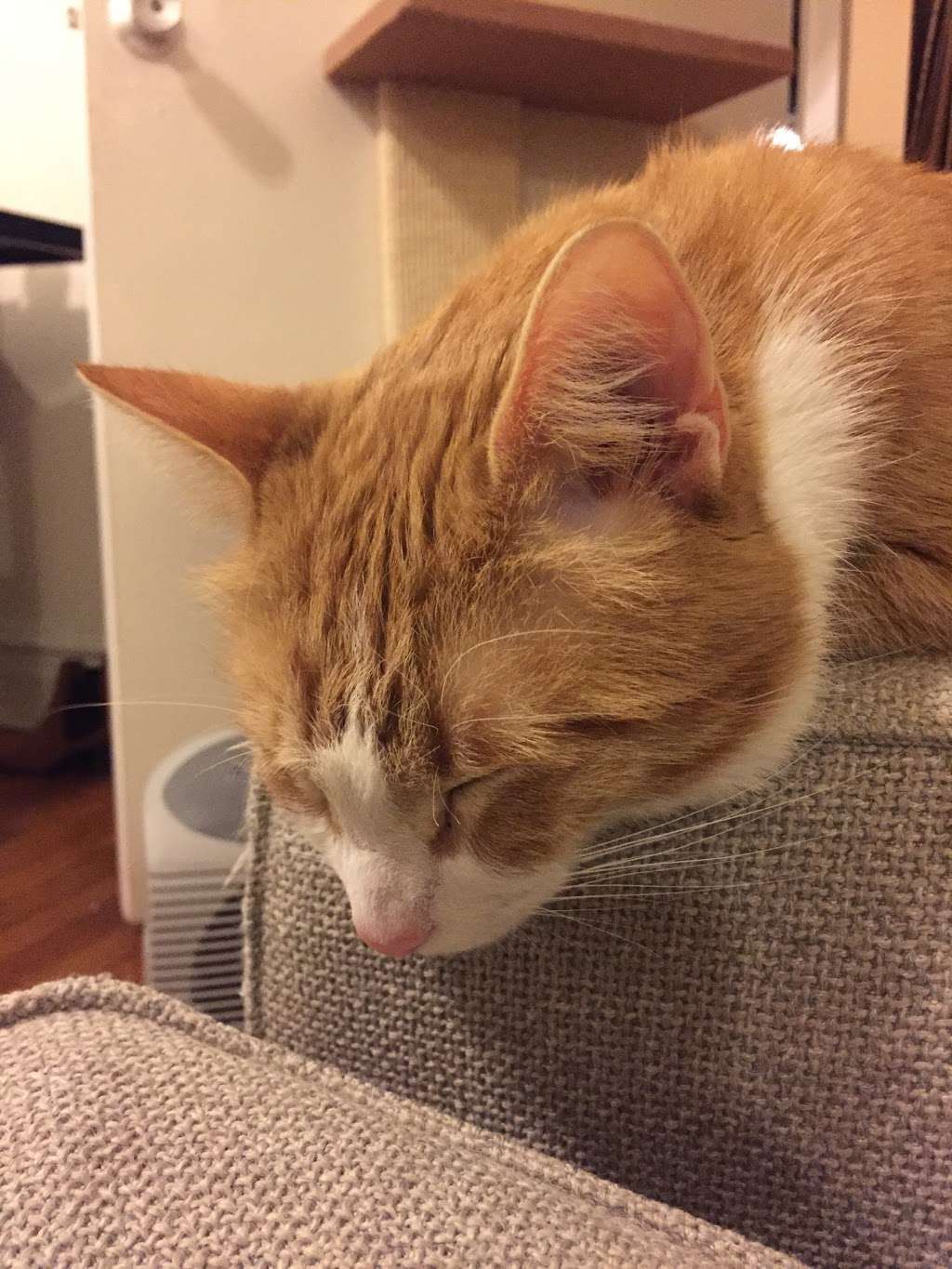 Heatlhy Choice Bakery | 2301 S Whipple St, Chicago, IL 60623, USA | Phone: (773) 475-6546