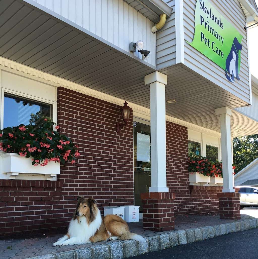 Skylands Primary Pet Care | 1131 Greenwood Lake Turnpike, Ringwood, NJ 07456 | Phone: (973) 728-1111