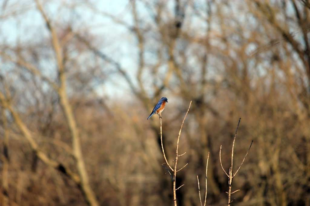 St. Catherines Trout Ponds | 5021-5083 4 Mile Rd, Racine, WI 53402, USA