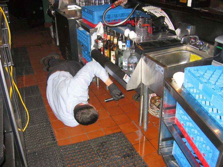 Southern New Hampshire Pest Control | A1 Exterminators | 12 St James Pl, Nashua, NH 03062, USA | Phone: (603) 888-2636