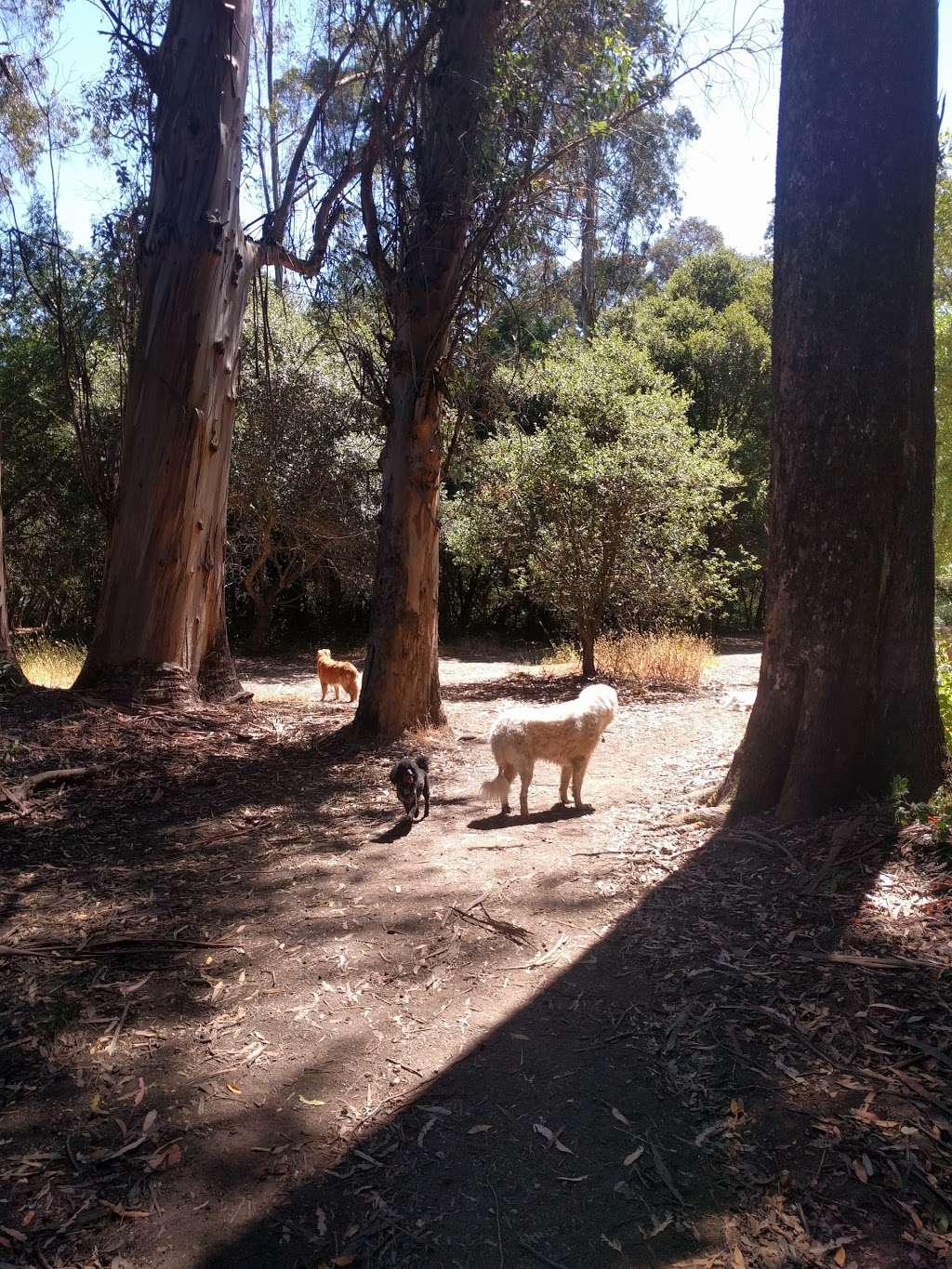 Ohair Park | Novato, CA 94947, USA