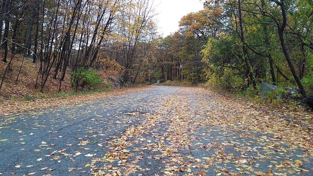 Long Mountain Long Path Trail Head | 0"N 74°0300., 411856 1st St, Fair Lawn, NJ 07410, USA