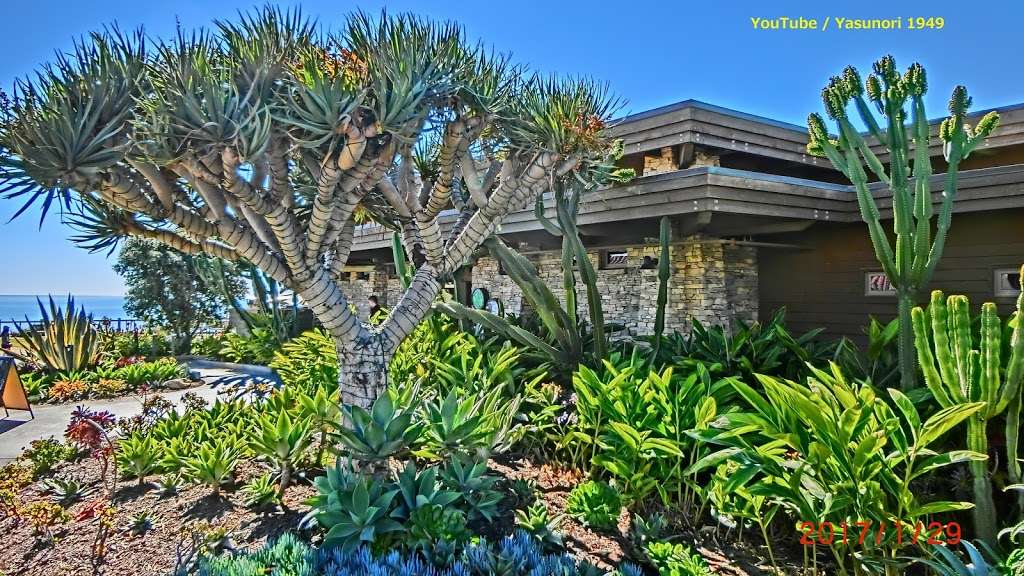 Terranea Bluff Top Park | Rancho Palos Verdes, CA 90275