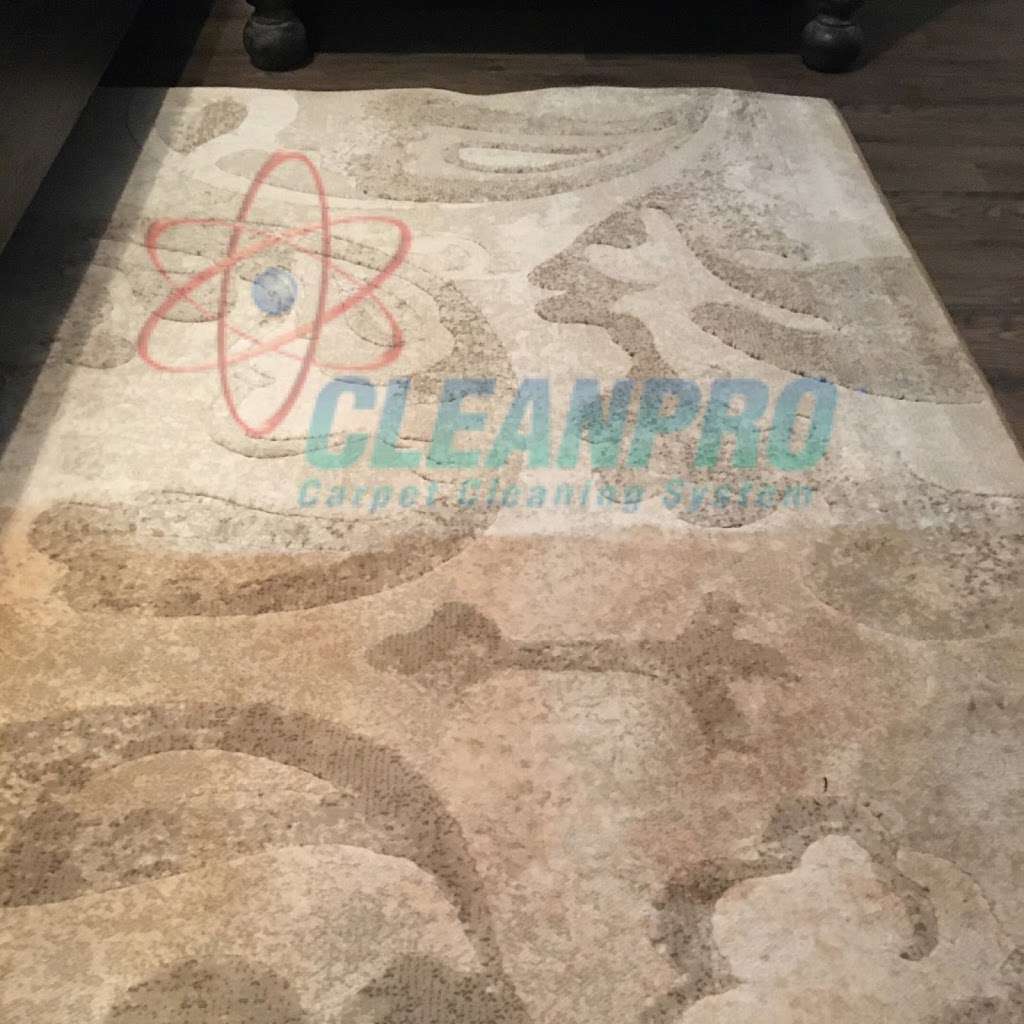 Charlotte Cleanpro - Carpet Cleaning | 317 Boyce Rd, Charlotte, NC 28211 | Phone: (980) 349-6335