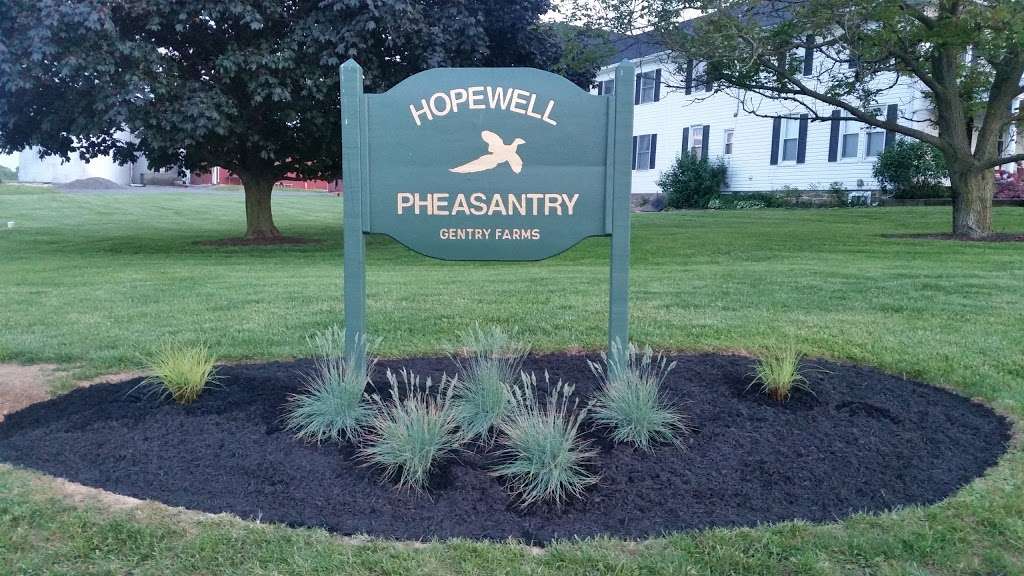 Hopewell Pheasantry Inc | 15075 Union Church Rd, Felton, PA 17322 | Phone: (717) 993-6393