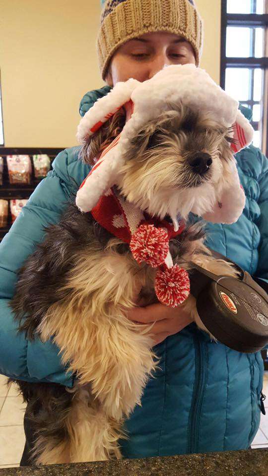 Oxford Animal Hospital | 13433 Switzer Rd, Overland Park, KS 66213, USA | Phone: (913) 681-2600