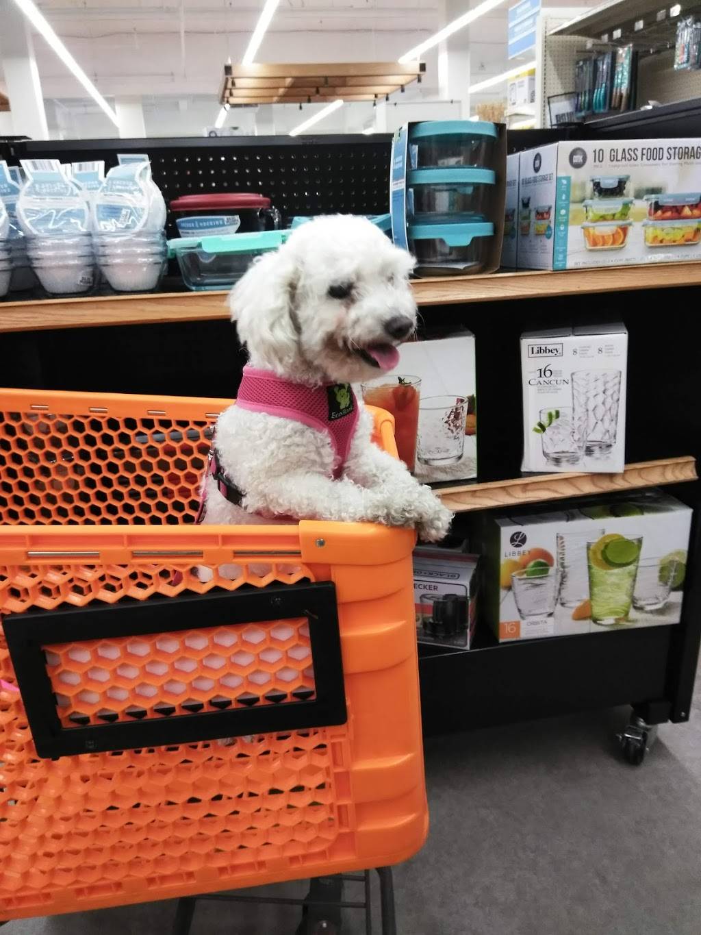 Big Lots in 600 E Valley Blvd, Alhambra, CA 91801, USA