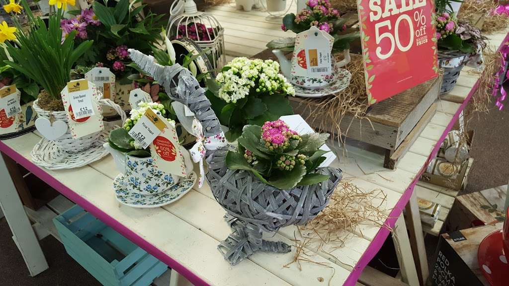 Keston, a Wyevale Garden Centre | Oakley Rd, Bromley BR2 8HD, UK | Phone: 0844 288 5082