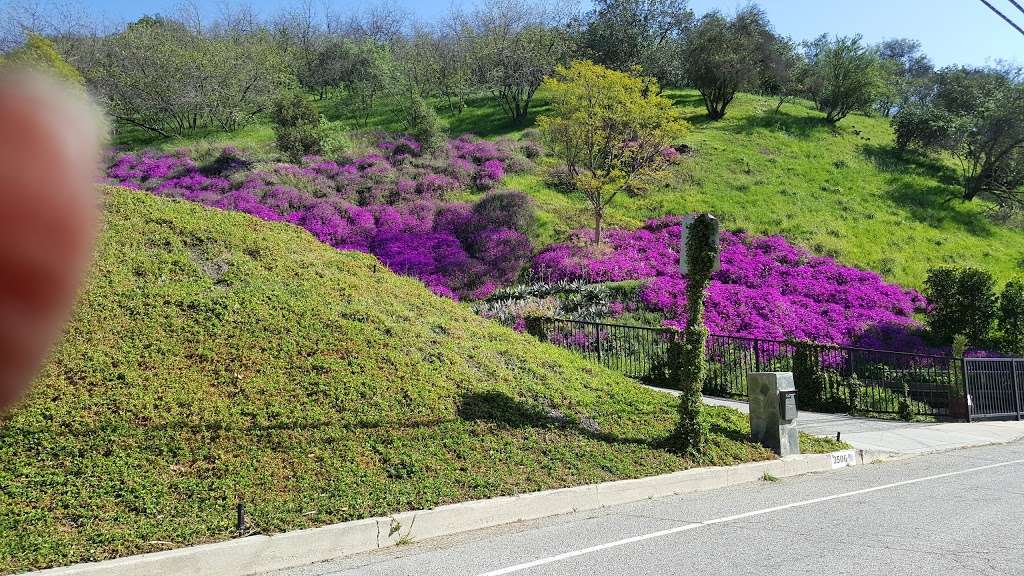 Westridge-Canyonback Wilderness Park | 17500 Mulholland Dr, Los Angeles, CA 90049, USA | Phone: (310) 589-3200