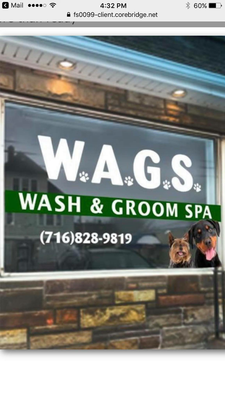 W.A.G.S. Wash & Groom Spa | 3056 South Park Ave, Lackawanna, NY 14218, USA | Phone: (716) 828-9819