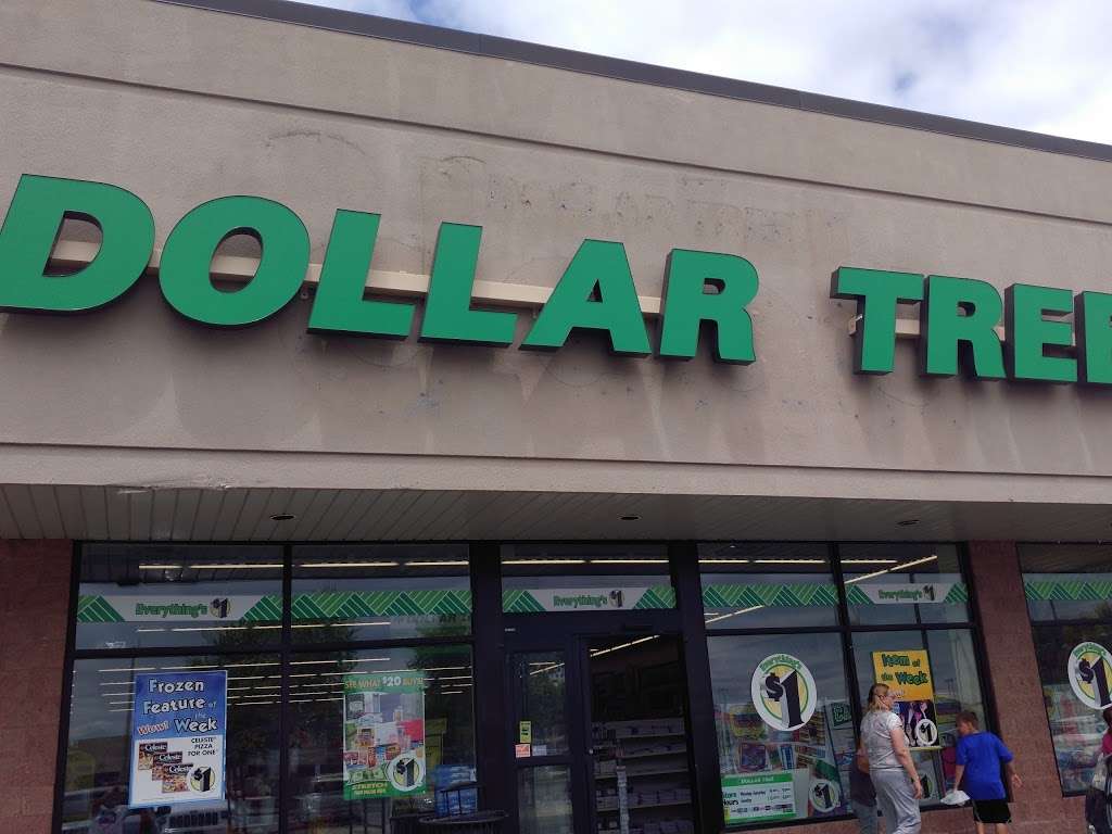 Dollar Tree | 2900 Colorado Ave, Joliet, IL 60431 | Phone: (815) 439-8856