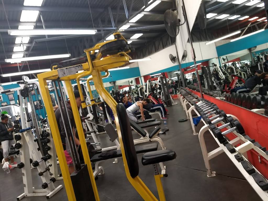 Tamayos GYM | Local 4, Plaza LA PRESA, Blvd. Diaz Ordaz 16, Lomas de la Presa, 22124 Tijuana, B.C., Mexico | Phone: 664 317 2505