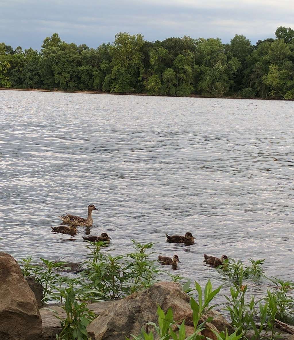 Delaware Canal State Park (Trail) | 150 Basin Park, Bristol, PA 19007, USA | Phone: (888) 727-2757