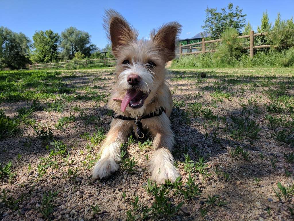 Valmont Dog Park | 5123-5275 Valmont Rd, Boulder, CO 80301, USA