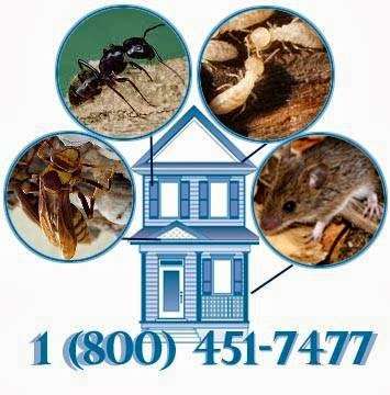 Freehold Pest Control, Inc. | 919 NJ-33, Freehold, NJ 07728, USA | Phone: (732) 308-1070