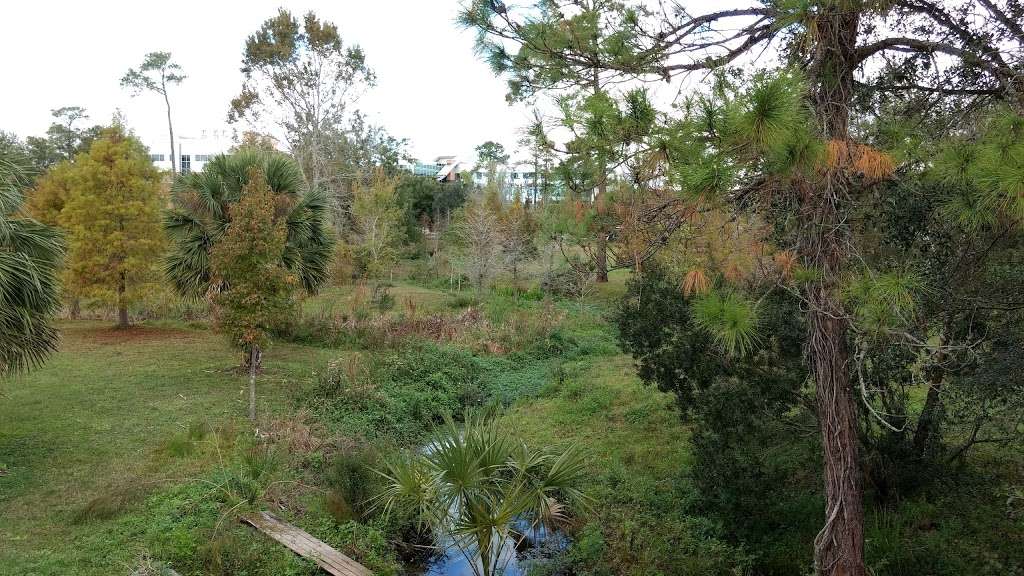 University of Central Florida Arboretum | Wildflower Loop, Orlando, FL 32826, USA