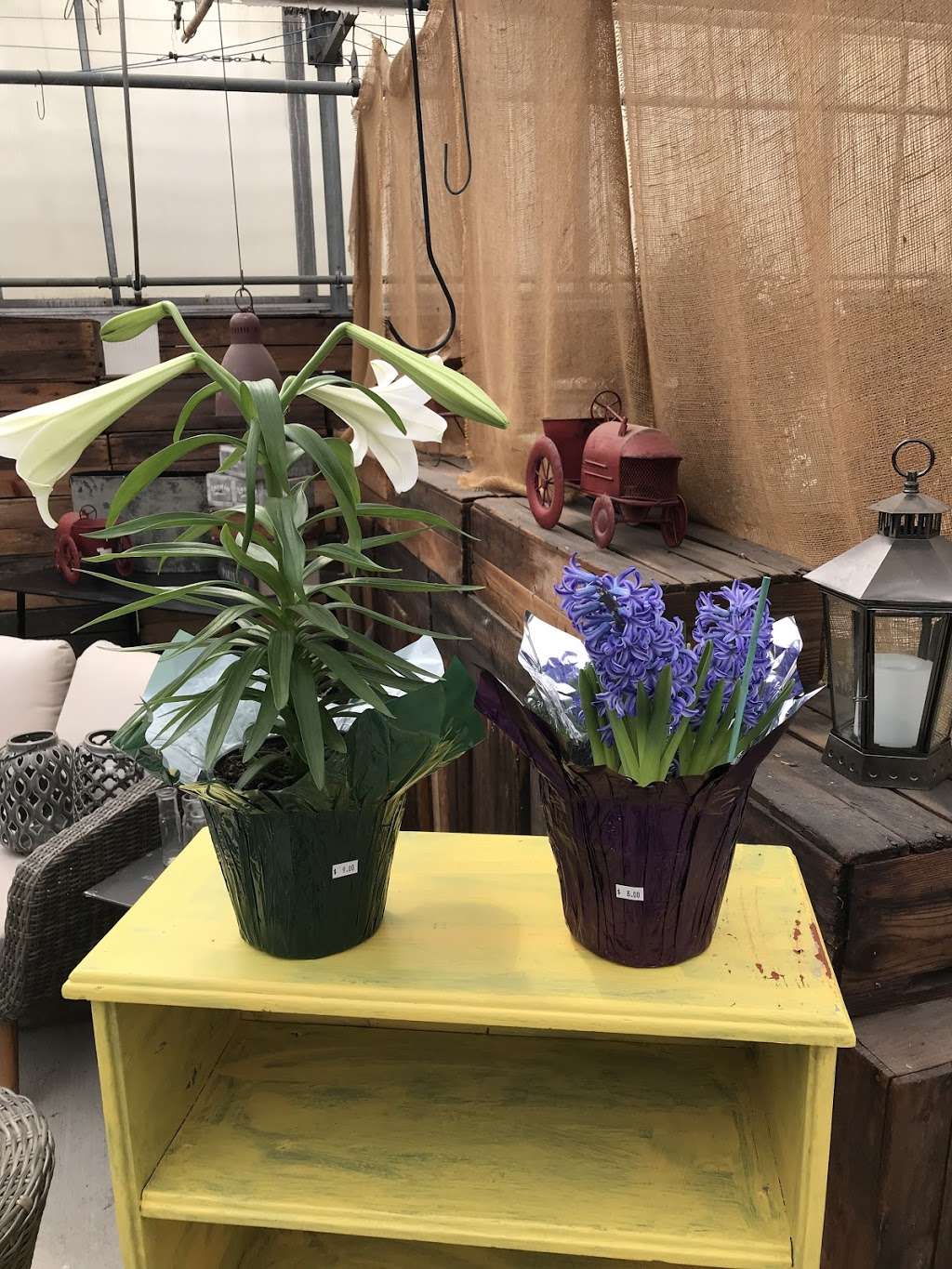 Redmonds Garden Center | 1360 US-206, Tabernacle, NJ 08088, USA | Phone: (609) 268-1018