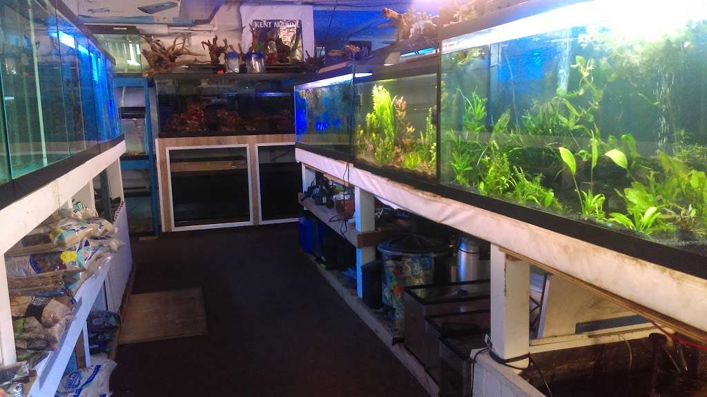 Aquarium World | 1512 Meetinghouse Rd, Upper Chichester, PA 19061 | Phone: (610) 485-3189