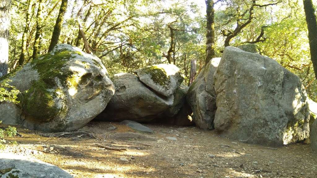 Saratoga Gap Open Space Preserve | 28798 Big Basin Way, Los Gatos, CA 95033, USA | Phone: (650) 691-1200