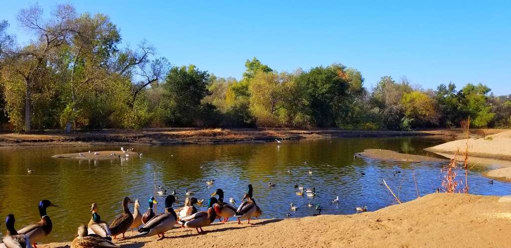 Duck Pond | Escondido, CA 92025, USA