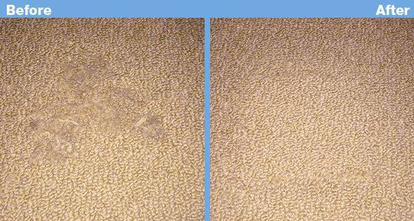 Advanced Carpet Restoration | 4100 16th Ave S # 2, Minneapolis, MN 55407, USA | Phone: (612) 825-9797