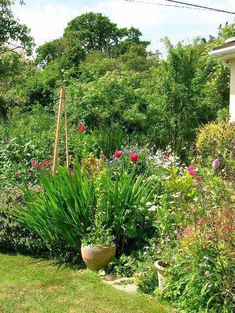 The Tree Garden Kent | 334 Stangate Rd, Birling, West Malling ME19 5JL, UK | Phone: 01634 245805