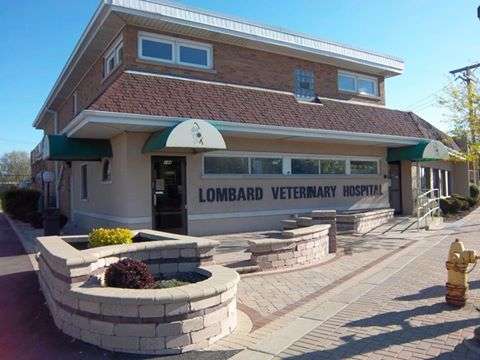 Lombard Veterinary Hospital | 244 E St Charles Rd, Lombard, IL 60148, USA | Phone: (630) 627-7090