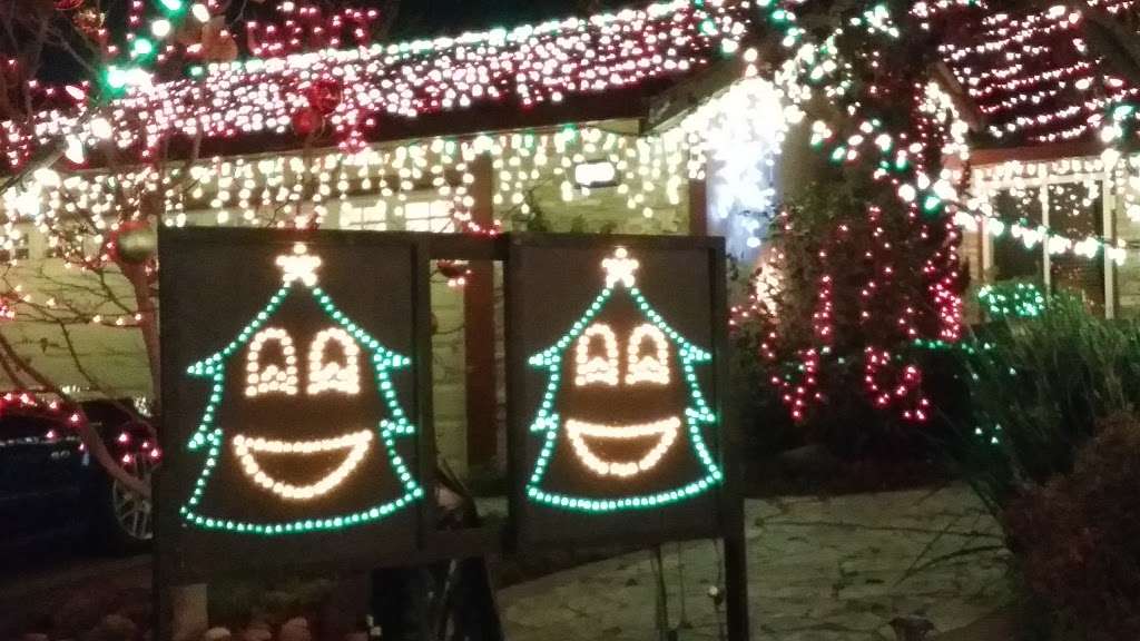 Morgans Magical Christmas Lights | 36811 Gum Ct, Newark, CA 94560, USA