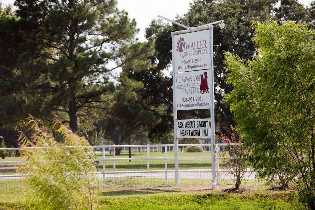 Waller Equine Hospital | 28234 Farm to Market 2920, Waller, TX 77484, USA | Phone: (936) 931-2900