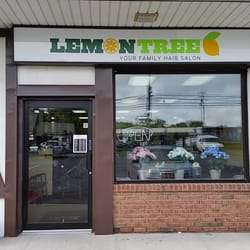 Lemon Tree | 1625 Hillside Avenue, New Hyde Park, NY 11040, USA | Phone: (516) 437-8881
