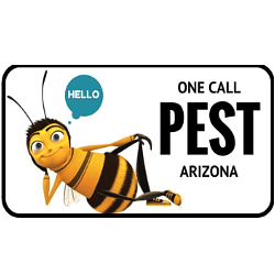 One Call Pest | 1725 W Williams Dr #8, Phoenix, AZ 85027, USA | Phone: (602) 497-3412