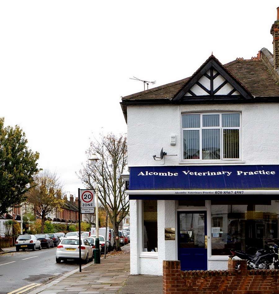 Alcombe Veterinary Surgery | 160 Northfield Ave, London W13 9SB, UK | Phone: 020 8567 4597
