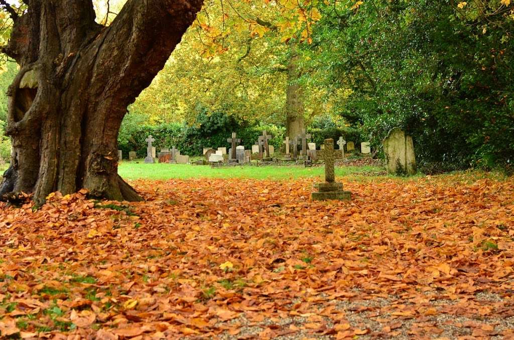 The Eleventh Century Parish Church of Saint Edmund King and Mart | West Kingsdown, Sevenoaks TN15 6AY, UK