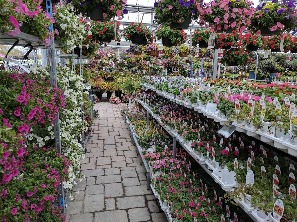 Seoanes Garden Center | 551 Bedford St, Abington, MA 02351, USA | Phone: (781) 878-1306