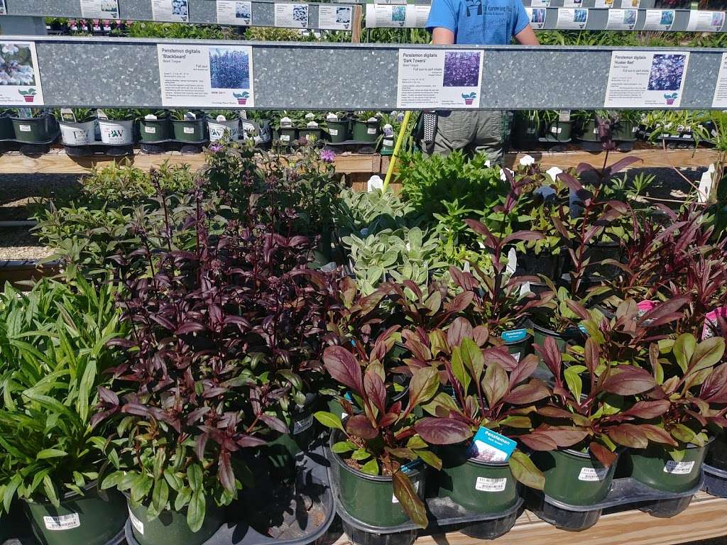 The Growing Place Garden Center | 2000 Montgomery Rd, Aurora, IL 60504 | Phone: (630) 820-8088