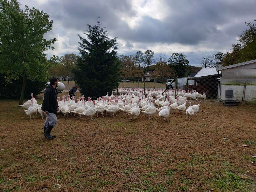 Hincks Turkey Farm | 3930 Belmar Blvd, Neptune City, NJ 07753 | Phone: (732) 681-0508